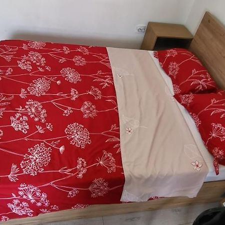 Self Check-In Studio 22 Bulevardul Oltenia Крайова Екстериор снимка