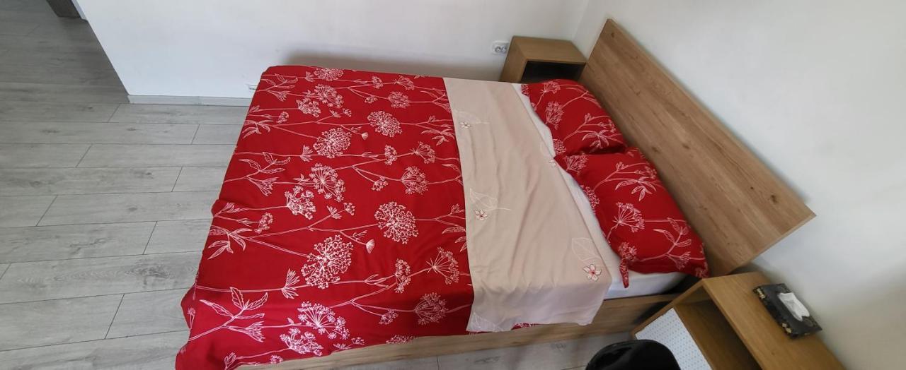 Self Check-In Studio 22 Bulevardul Oltenia Крайова Екстериор снимка