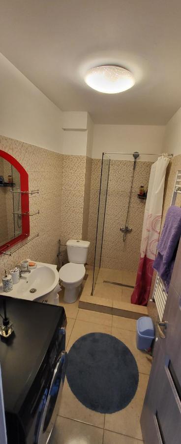 Self Check-In Studio 22 Bulevardul Oltenia Крайова Екстериор снимка