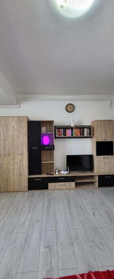 Self Check-In Studio 22 Bulevardul Oltenia Крайова Екстериор снимка